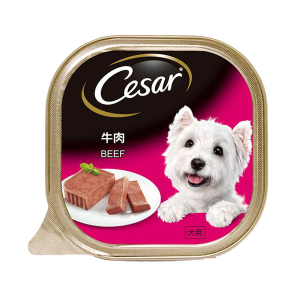 Cesar Beef Wet Dog Food 100g (highest price)