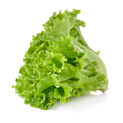 YK Lettuce Local Salad Malaysia 250g P5