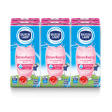 Dutch Lady Pure Farm Strawberry UHT Milk 200ml x 6