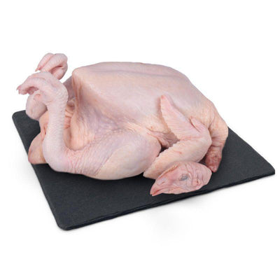 Old Chicken 1unit