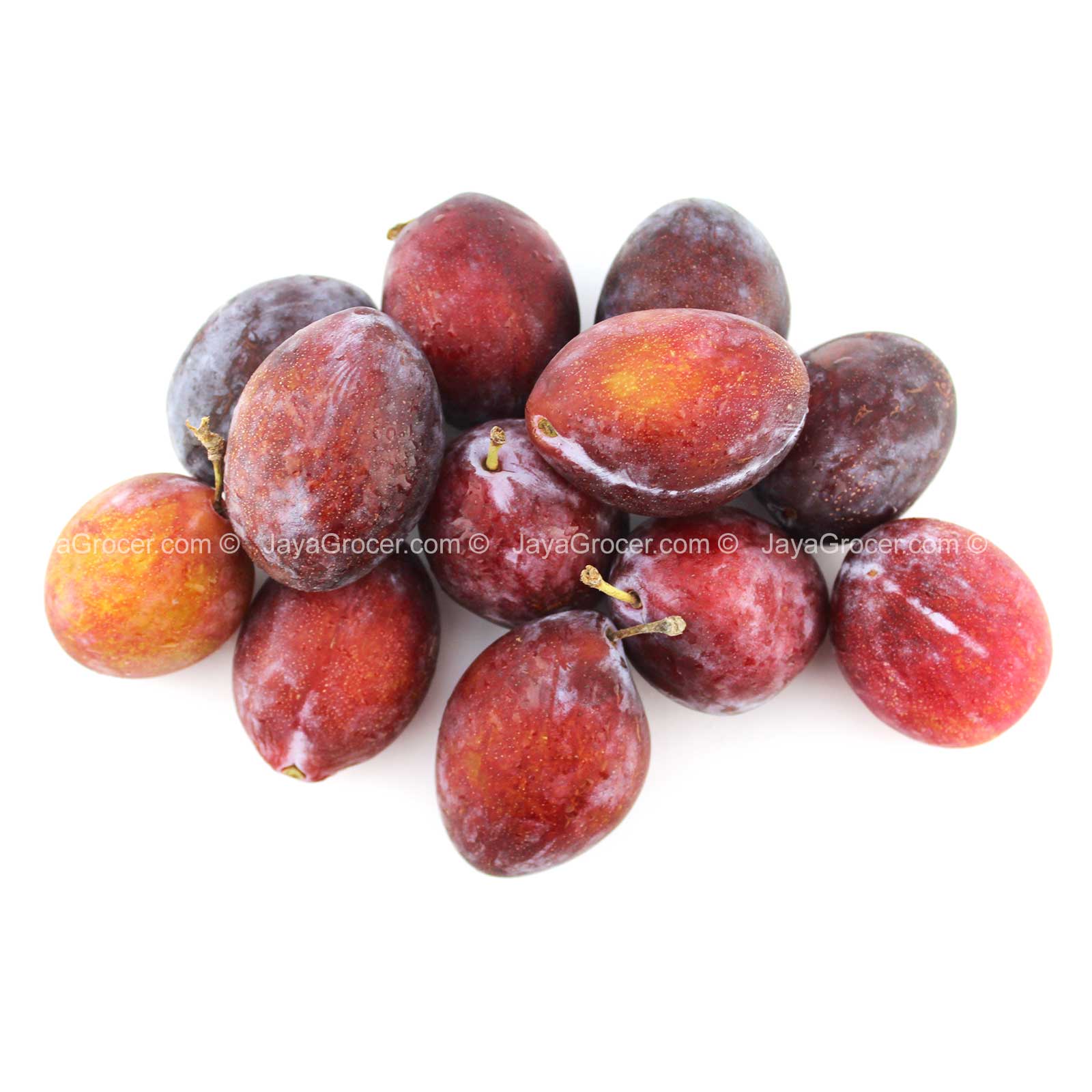 Sugar Plum (USA) 454g