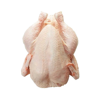 Frozen Spring Chicken 1unit
