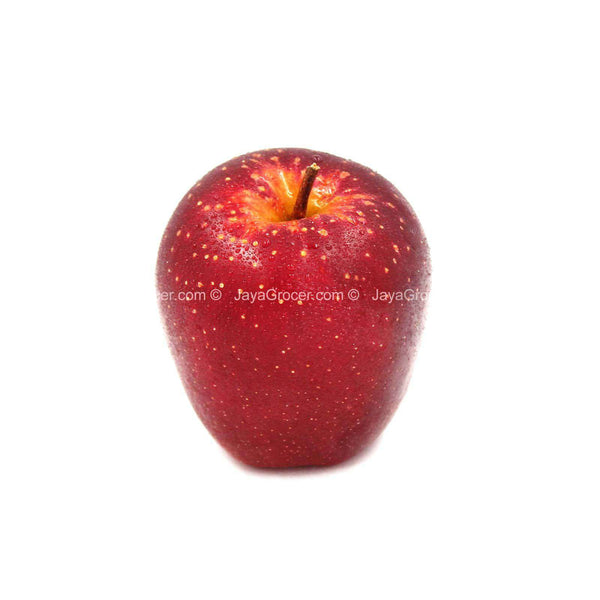 SugarBee Apple (USA) 6pcs/pack (highest price)