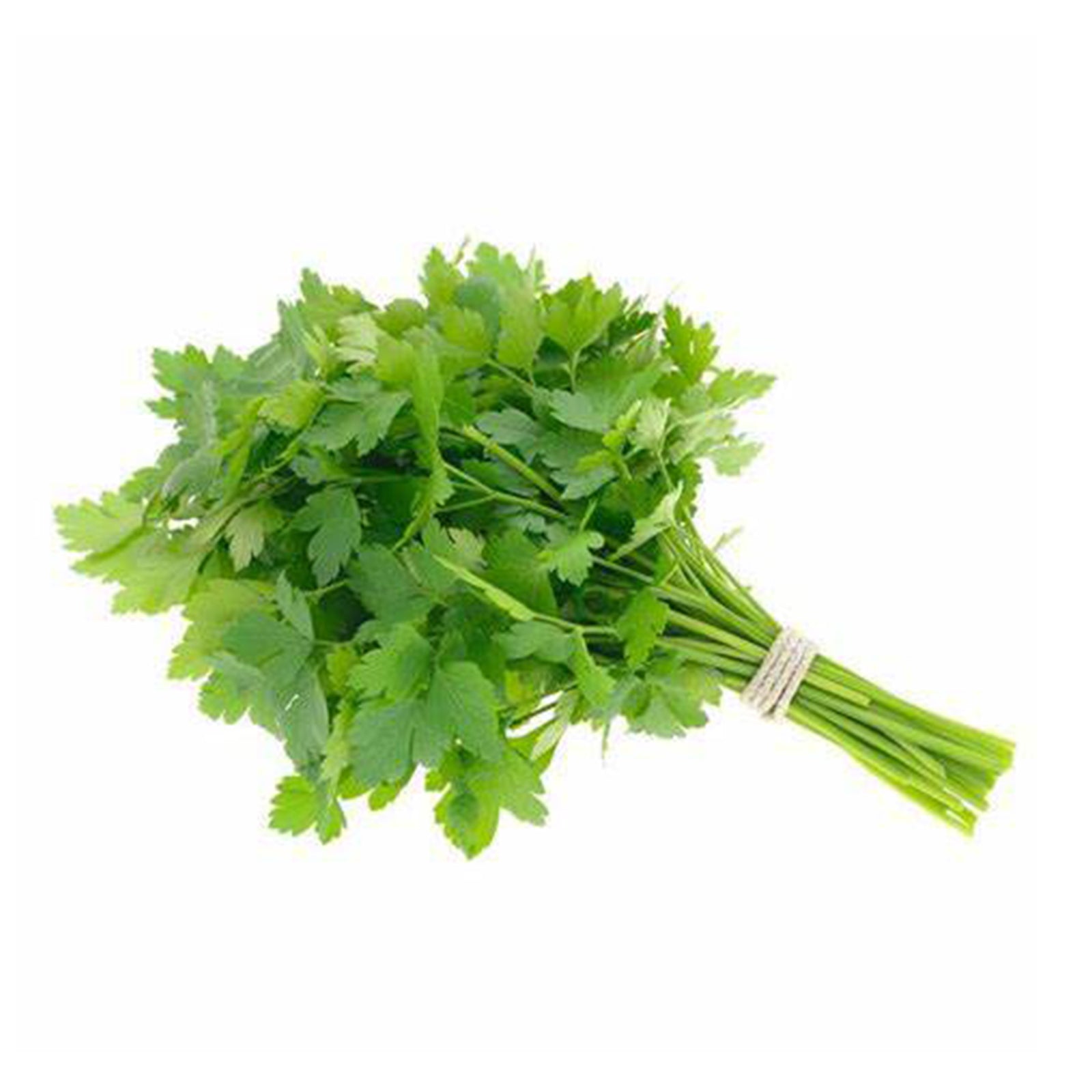 Cameron Garden Probiotic Celery Leaf (Daun Sup) (Malaysia) 100g