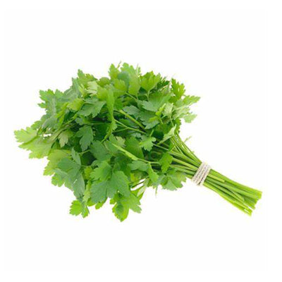 Cameron Garden Probiotic Celery Leaf (Daun Sup) (Malaysia) 100g