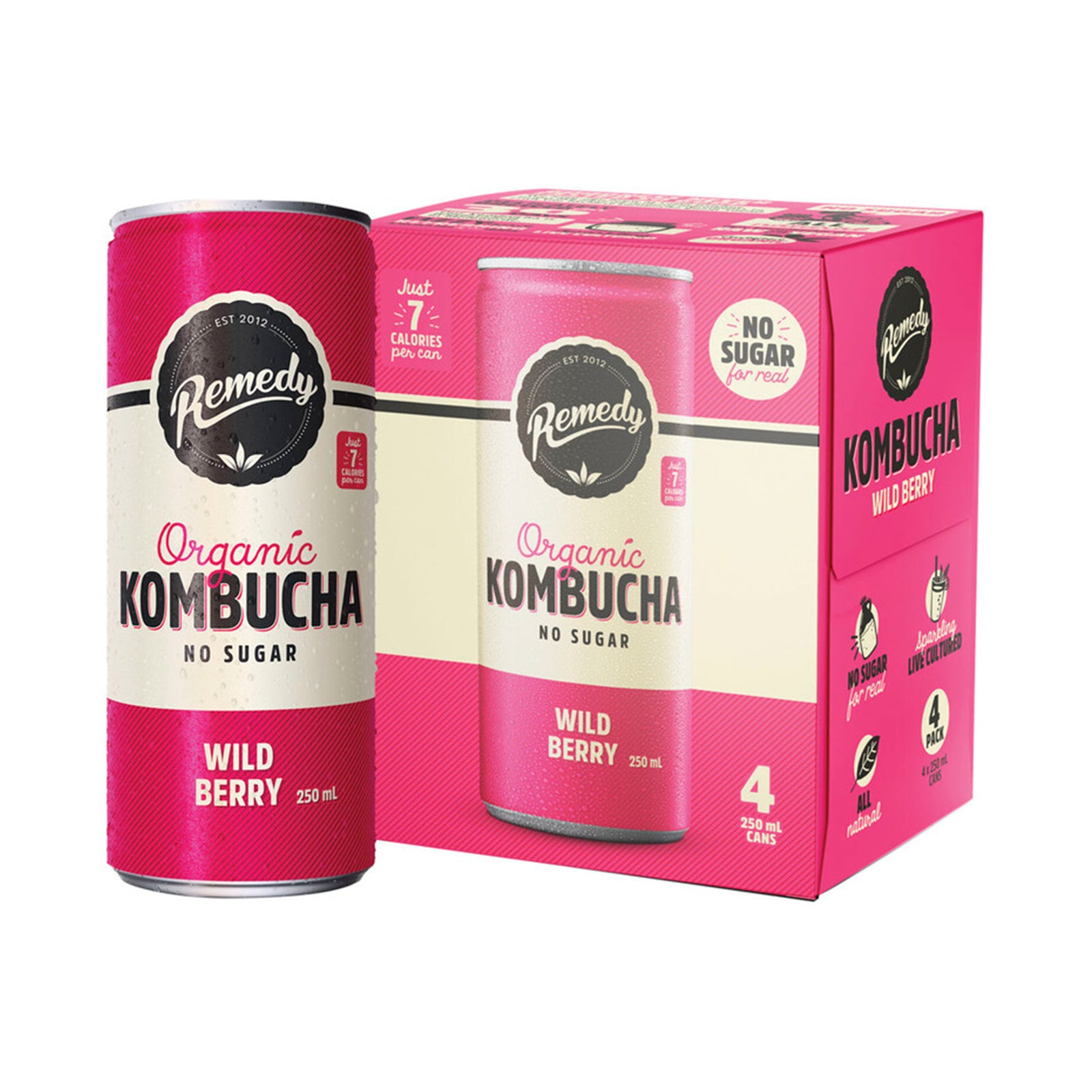 Remedy Organic Kombucha Wild Berry 250ml
