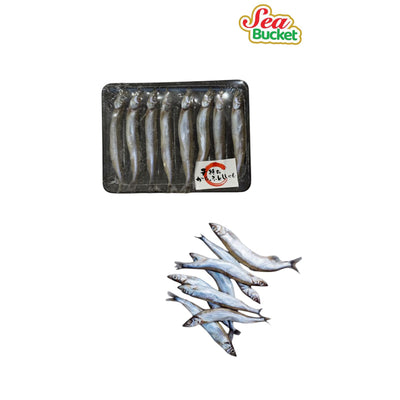 Magic Seafood Frozen Capelin/Shishamo 150g