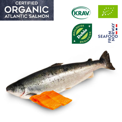 Organic Norwegian Atlantic Salmon Fillet 200g