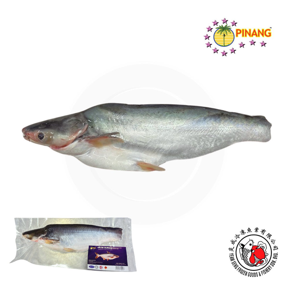 Patin Sungai Half Fish Fillet 320g