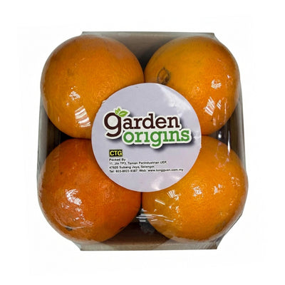 Organic Navel Orange (Spain) 4pcs/pack