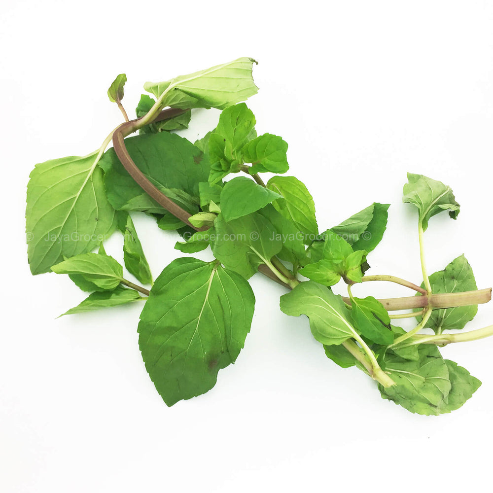 Genting Garden Peppermint (Malaysia) 10g