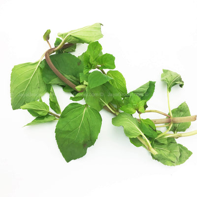 Genting Garden Peppermint (Malaysia) 10g